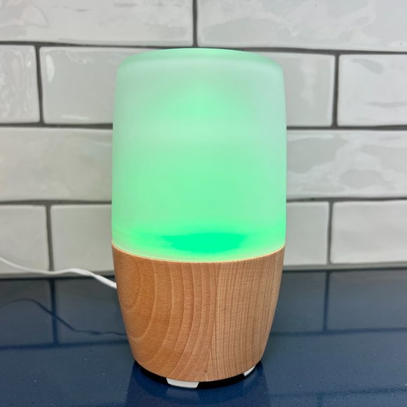 Nature's Stress Reliever!  Relaxing Color Changing Homedics Diffuser - Picture 1 of 16